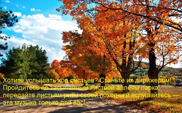Открытка Хотите услышать хор листьев? Станьте их дирижером! Пройдитесь по засыпанным листвой аллеям парка, пе