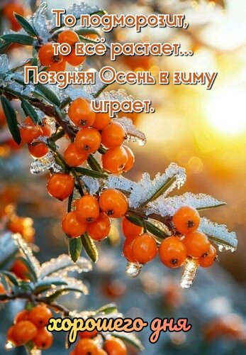 Открытка Хорошего дня