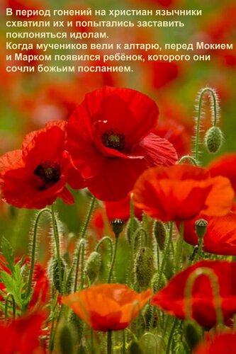 Открытка В период гонений на христиан язычники схватили их и попытались заставить поклоняться идолам. Когда