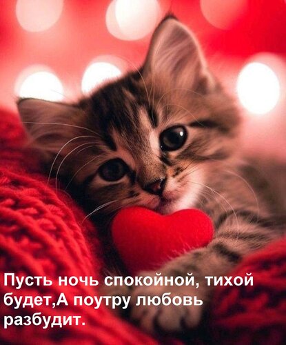 Открытка Пусть ночь спокойной, тихой будет, А поутру любовь разбудит.