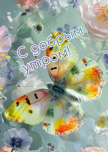 Открытка С добрым утром