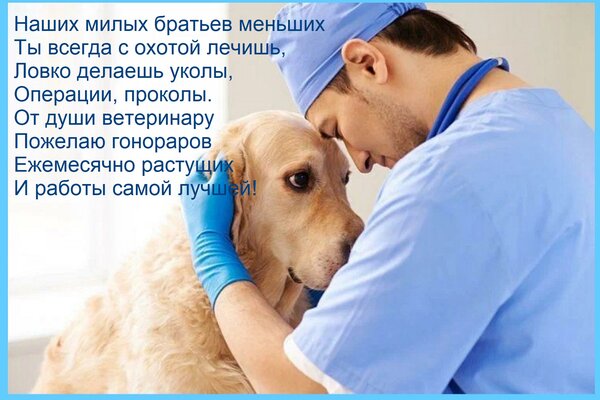 Открытка Наших милых братьев меньших Ты всегда с охотой лечишь, Ловко делаешь уколы, Операции, проколы. От ду