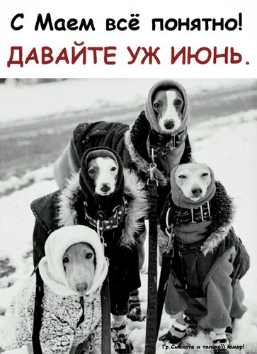 Открытка с маем все понятно давайте уж июнь