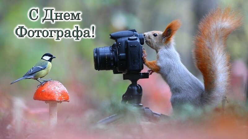 Открытка День фотографа