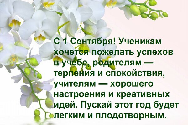 Открытка С 1 Сентября! Ученикам хочется пожелать успехов в учебе, родителям — терпения и спокойствия, учителя