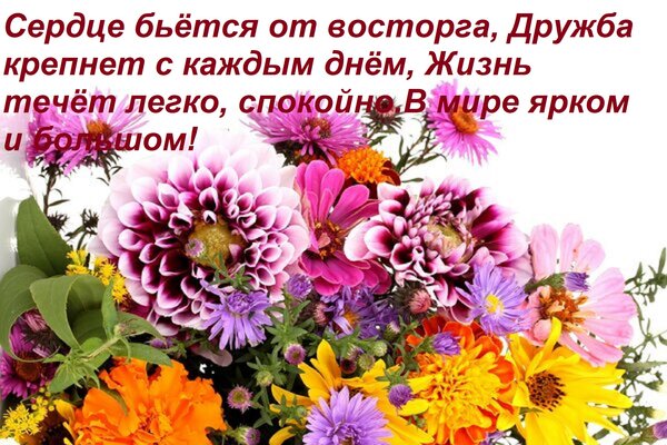 Открытка Сердце бьётся от восторга, Дружба крепнет с каждым днём, Жизнь течёт легко, спокойно В мире ярком и