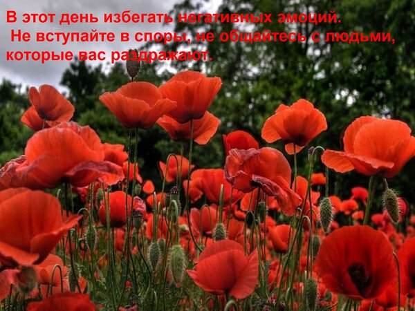 Открытка В этот день избегать негативных эмоций. Не вступайте в споры, не общайтесь с людьми, которые вас раз