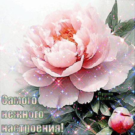 Анимированная открытка Самого нежного настроения!