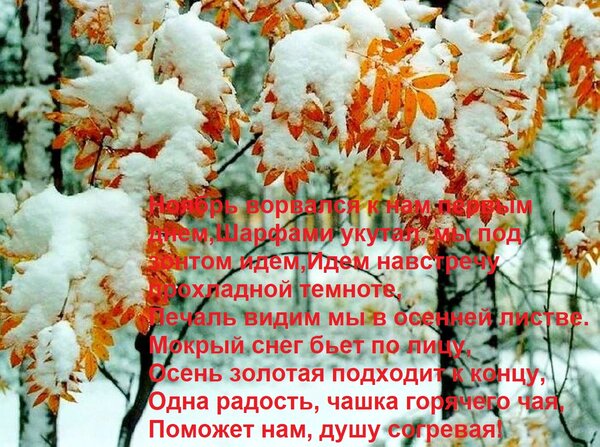 Открытка Ноябрь ворвался к нам первым днем, Шарфами укутал, мы под зонтом идем, Идем навстречу прохладной тем