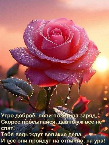 Открытка Утро доброе, лови позитива заряд, Скорее просыпайся, давно уж все не спят! Тебя ведь ждут великие де