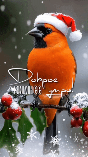 Анимированная открытка Доброе зимнее утро!