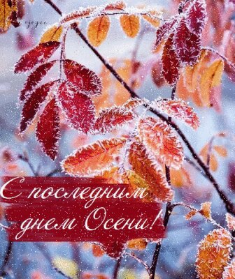 Открытка с последним днем осени