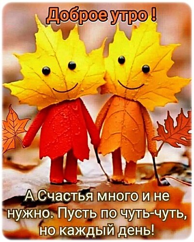 Открытка Доброе утро!