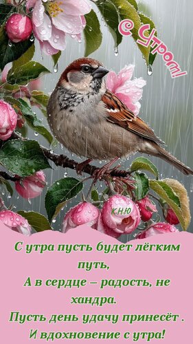 Открытка С утром
