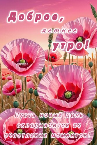 Открытка ДОБРОЕ, ЛЕТНЕЕ УТРО! ПУСТЬ НОВЫЙ ДЕНЬ СКЛАДЫВАЕТСЯ ИЗ СЧАСТЛИВЫХ МОМЕНТОВ!