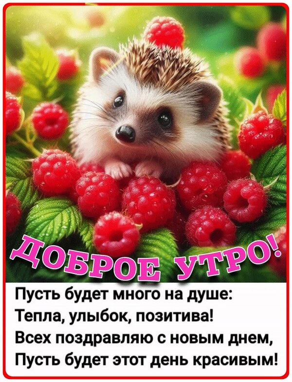 Открытка Доброе утро