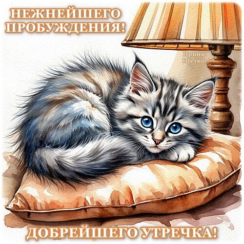Открытка Доброе утро!