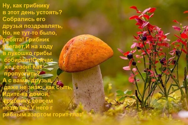 Открытка Ну, как грибнику в этот день устоять? Собрались его друзья поздравлять, Но, не тут-то было, ребята!