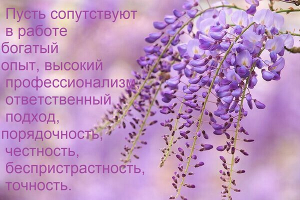 Открытка Пусть сопутствуют в работе богатый опыт, высокий профессионализм, ответственный подход, порядочност