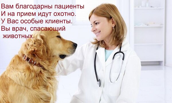 Открытка Вам благодарны пациенты И на прием идут охотно. У Вас особые клиенты. Вы врач, спасающий животных.