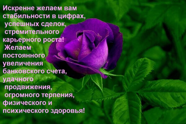 Открытка Искренне желаем вам стабильности в цифрах, успешных сделок, стремительного карьерного роста! Желаем
