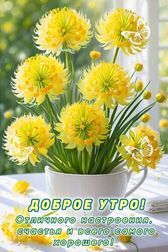 Открытка ДОБРОЕ УТРО! ОТЛИЧНОГО НАСТРОЕНИЯ,СЧАСТЬЯ И ВСЕГО САМОГО ХОРОШЕГО!