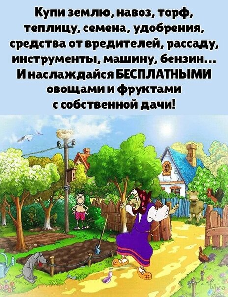 Открытка наслаждайтесь бесплатными овощами и фруктами