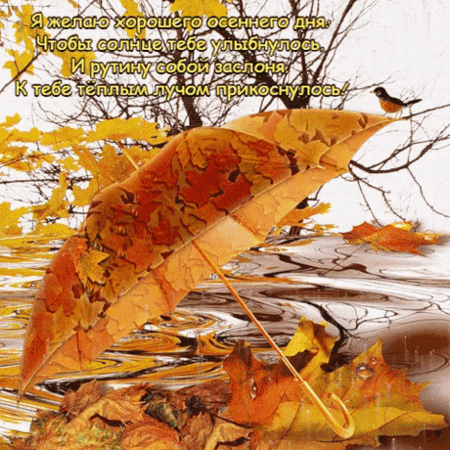 Анимированная открытка ХОРОШЕГО ДНЯ!