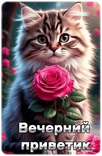 Открытка Добрый вечер!