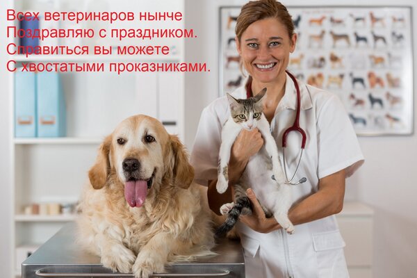 Открытка Всех ветеринаров нынче Поздравляю с праздником. Справиться вы можете С хвостатыми проказниками.