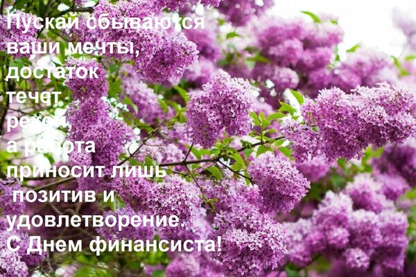 Открытка Пускай сбываются ваши мечты, достаток течет рекой, а работа приносит лишь позитив и удовлетворение.