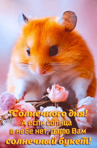 Анимированная открытка Солнечного дня! А если солнца в небе нет, дарю вам солнечный букет!