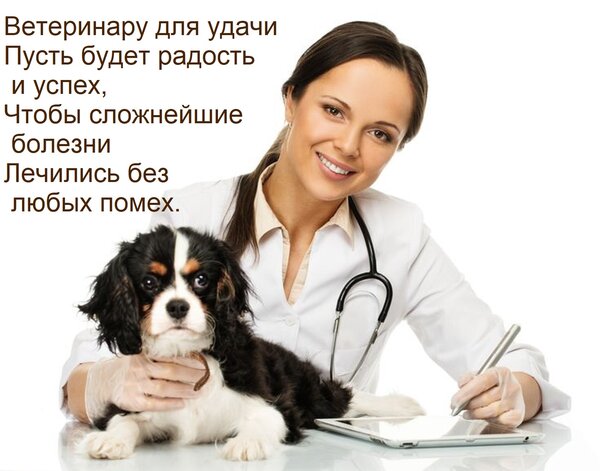 Открытка Ветеринару для удачи Пусть будет радость и успех, Чтобы сложнейшие болезни Лечились без любых помех.