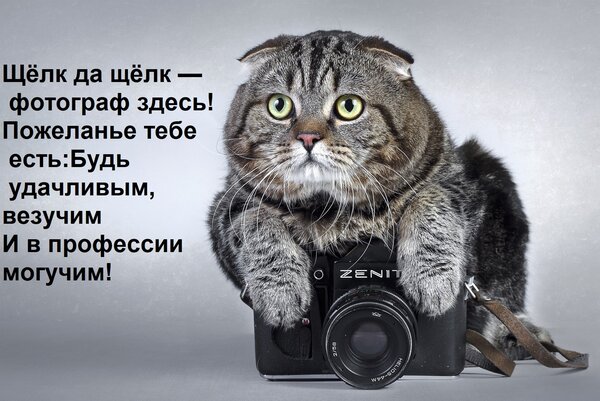 Открытка Щёлк да щёлк — фотограф здесь! Пожеланье тебе есть: Будь удачливым, везучим И в профессии могучим!
