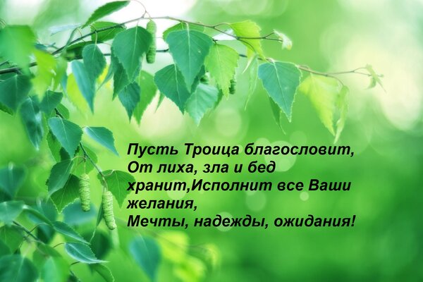 Открытка Пусть Троица благословит, От лиха, зла и бед хранит, Исполнит все Ваши желания, Мечты, надежды, ожид