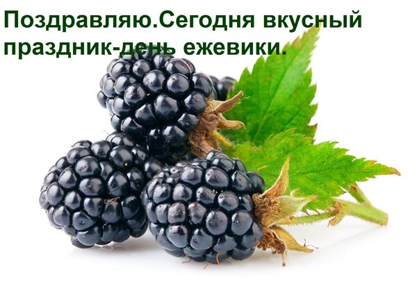 Открытка Поздравляю.Сегодня вкусный праздник-день ежевики.