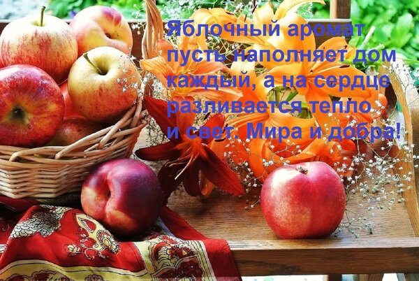Открытка Сыла. Возвращение домой