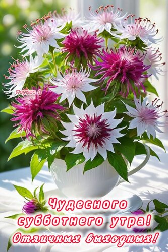Открытка ЧУДЕСНОГО СУББОТНЕГО УТРА! ОТЛИЧНЫХ ВЫХОДНЫХ!
