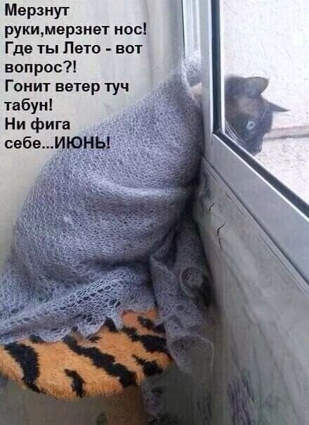 Открытка ни фига себе июнь