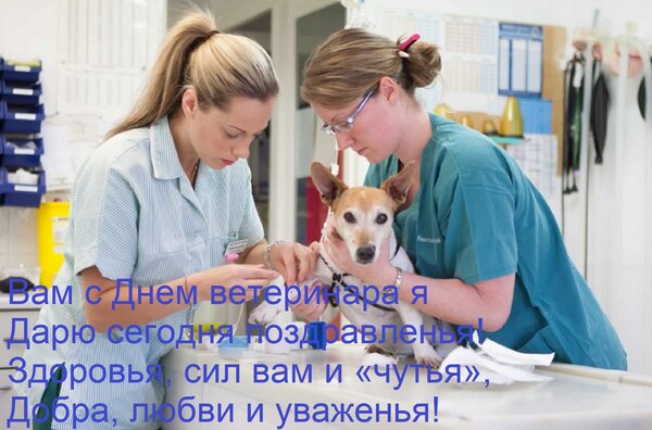 Открытка Вам с Днем ветеринара я Дарю сегодня поздравленья! Здоровья, сил вам и «чутья», Добра, любви и уваже