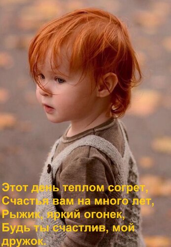 Открытка Этот день теплом согрет, Счастья вам на много лет, Рыжик, яркий огонек, Будь ты счастлив, мой дружок