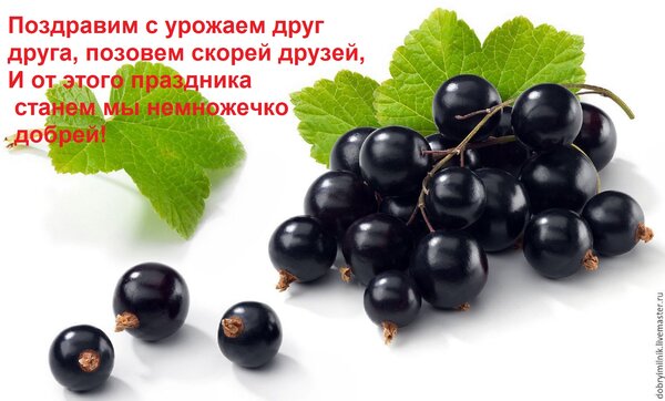 Открытка Поздравим с урожаем друг друга, позовем скорей друзей, И от этого праздника станем мы немножечко доб