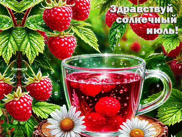 Анимированная открытка Здравствуй солнечный июль!