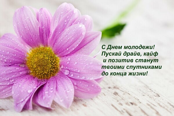 Открытка С Днем молодежи! Пускай драйв, кайф и позитив станут твоими спутниками до конца жизни!