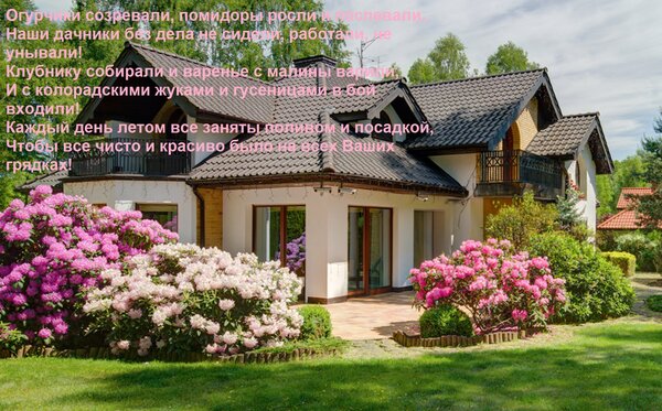 Открытка Огурчики созревали, помидоры росли и поспевали, Наши дачники без дела не сидели, работали, не унывал