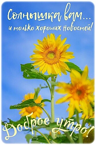Открытка Доброе утро!