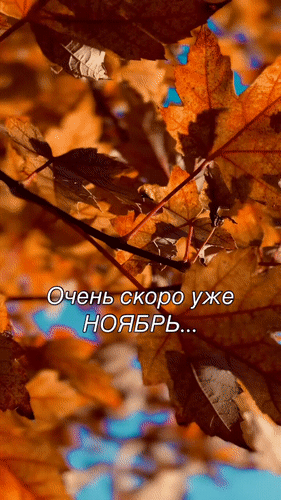 Анимированная открытка Очень скоро уже Ноябрь...