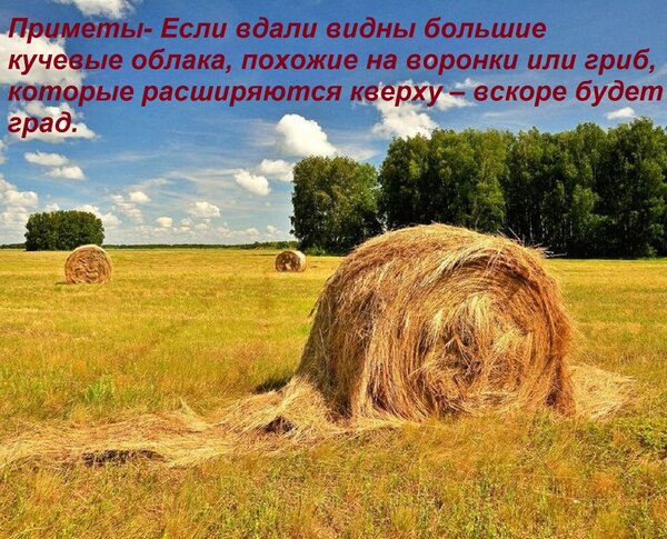 Открытка Приметы- Если вдали видны большие кучевые облака, похожие на воронки или гриб, которые расширяются к
