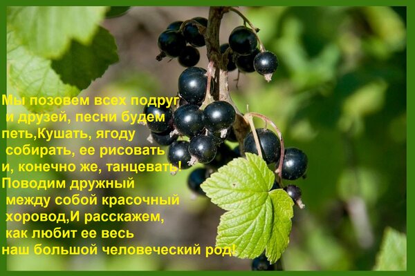 Открытка Мы позовем всех подруг и друзей, песни будем петь, Кушать, ягоду собирать, ее рисовать и, конечно же