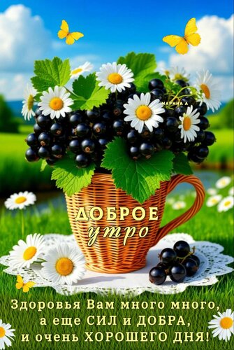 Открытка ДОБРОЕ УТРО! ЗДОРОВЬЯ ВАМ МНОГО МНОГО, А ЕЩЕ СИЛ И ДОБРА, И ОЧЕНЬ ХОРОШЕГО ДНЯ!
